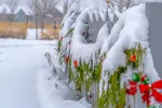 Snow on outdoor holiday ornaments and greenery hanging on a fence.